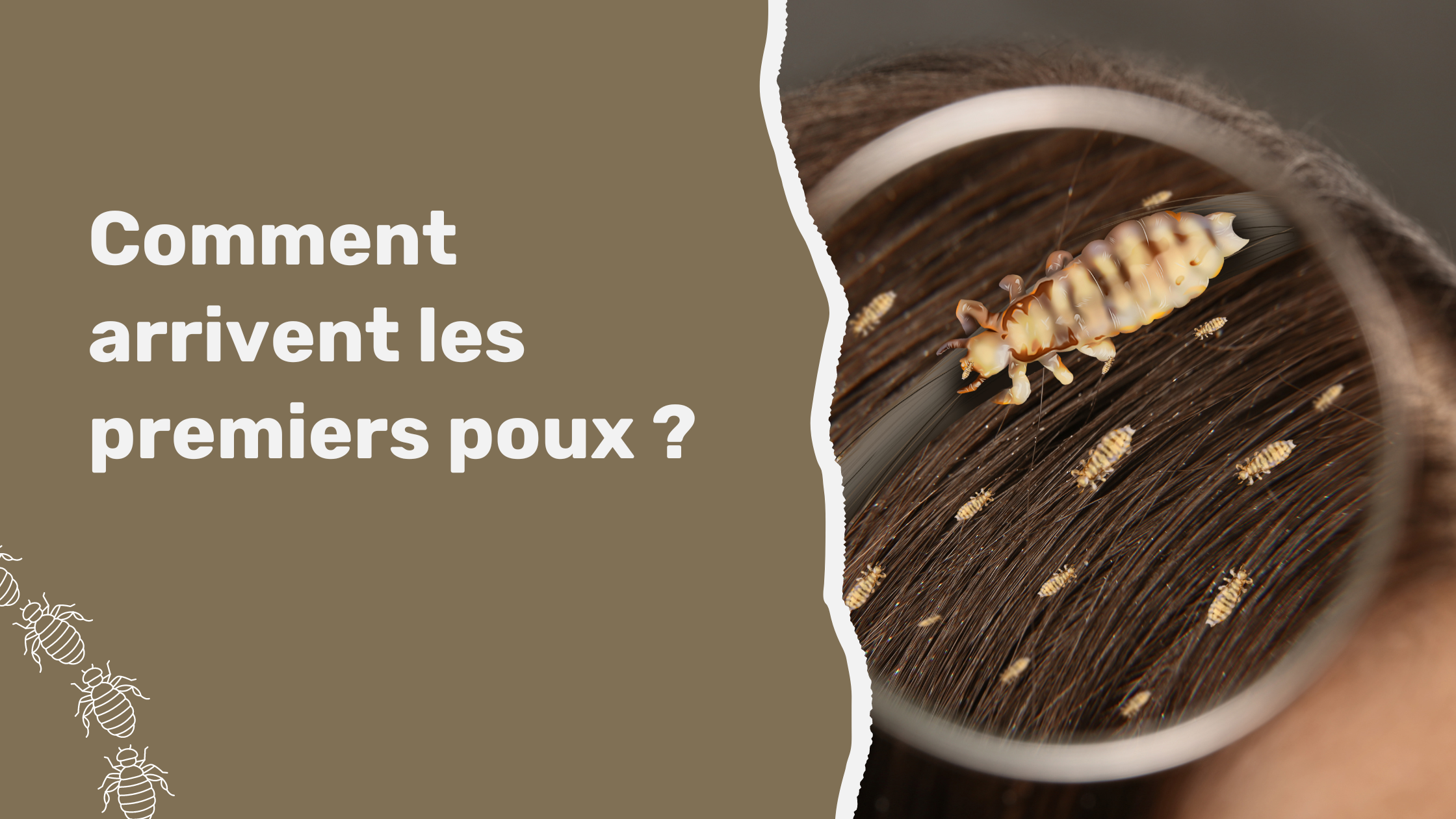 Comment Arrivent Les Premiers Poux Royal Poux Comment Arrivent Les Premiers Poux Royal Poux