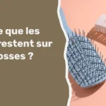 Est-ce que les poux restent sur les brosses ?