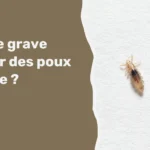 Est-ce grave d’avoir des poux de tête ?