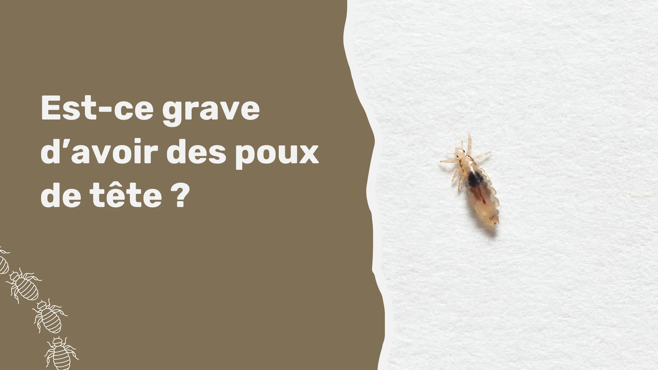 Est-ce grave d’avoir des poux de tête ?