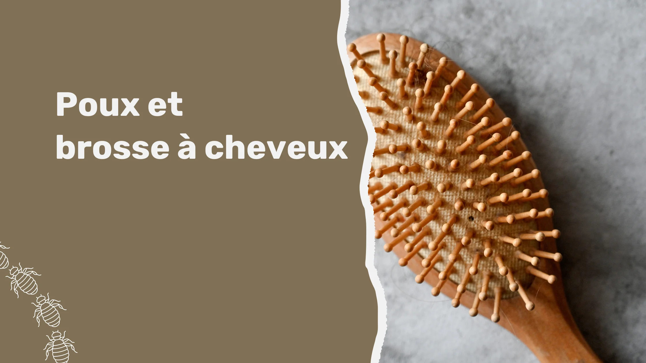 Poux et brosse à cheveux