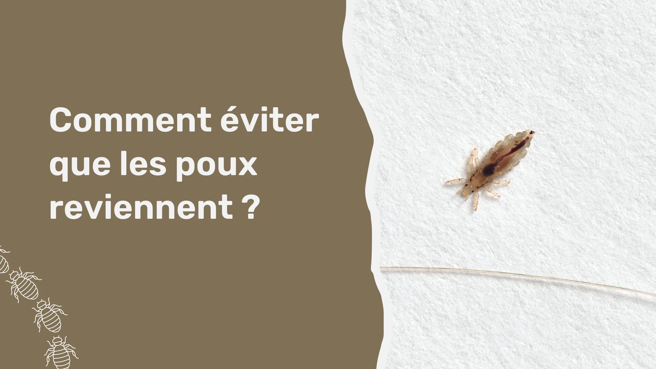 Comment éviter que les poux reviennent ?