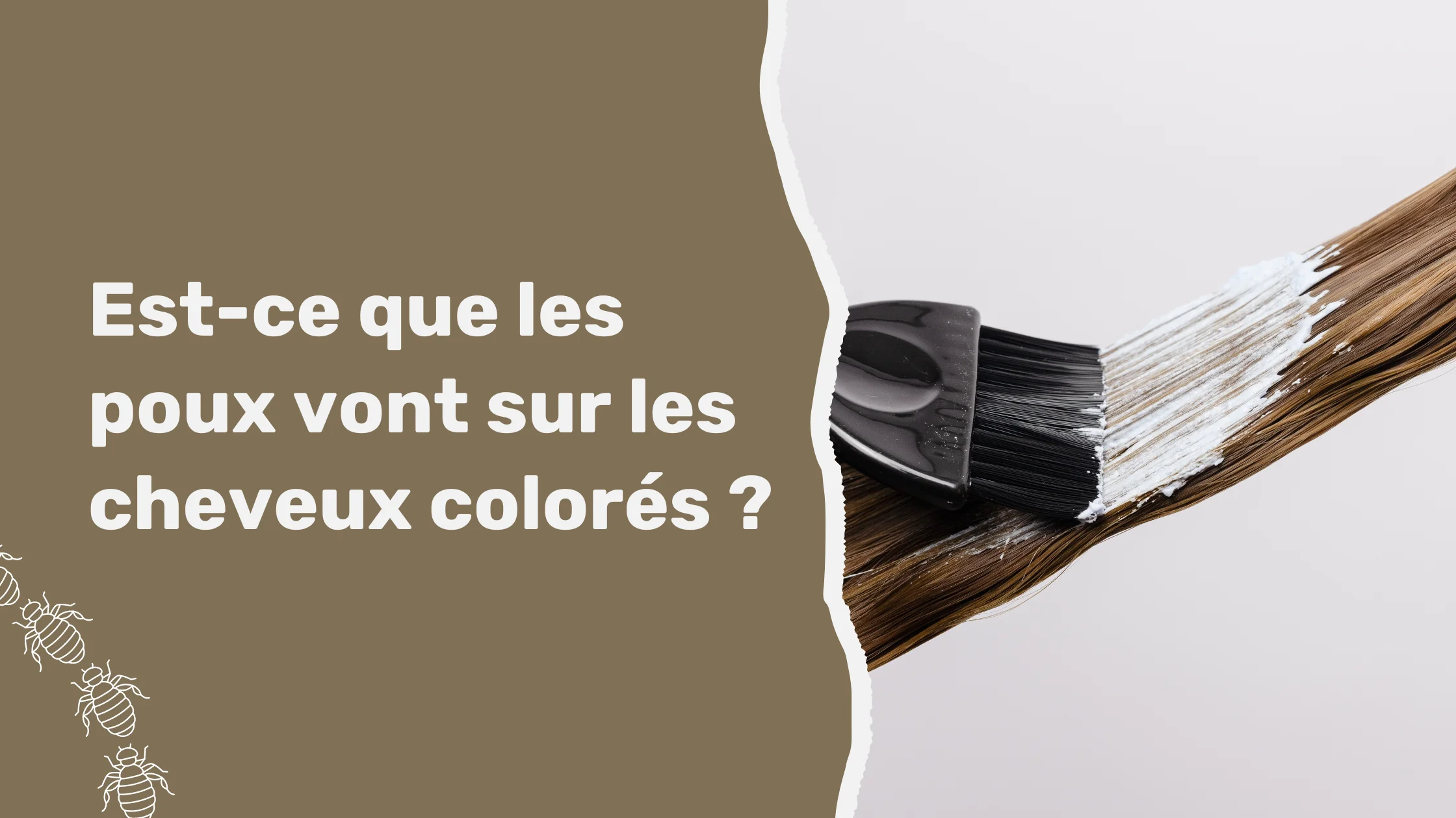 Est-ce que les poux vont sur les cheveux colorés ?