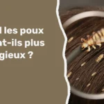 Quand les poux ne sont-ils plus contagieux ?