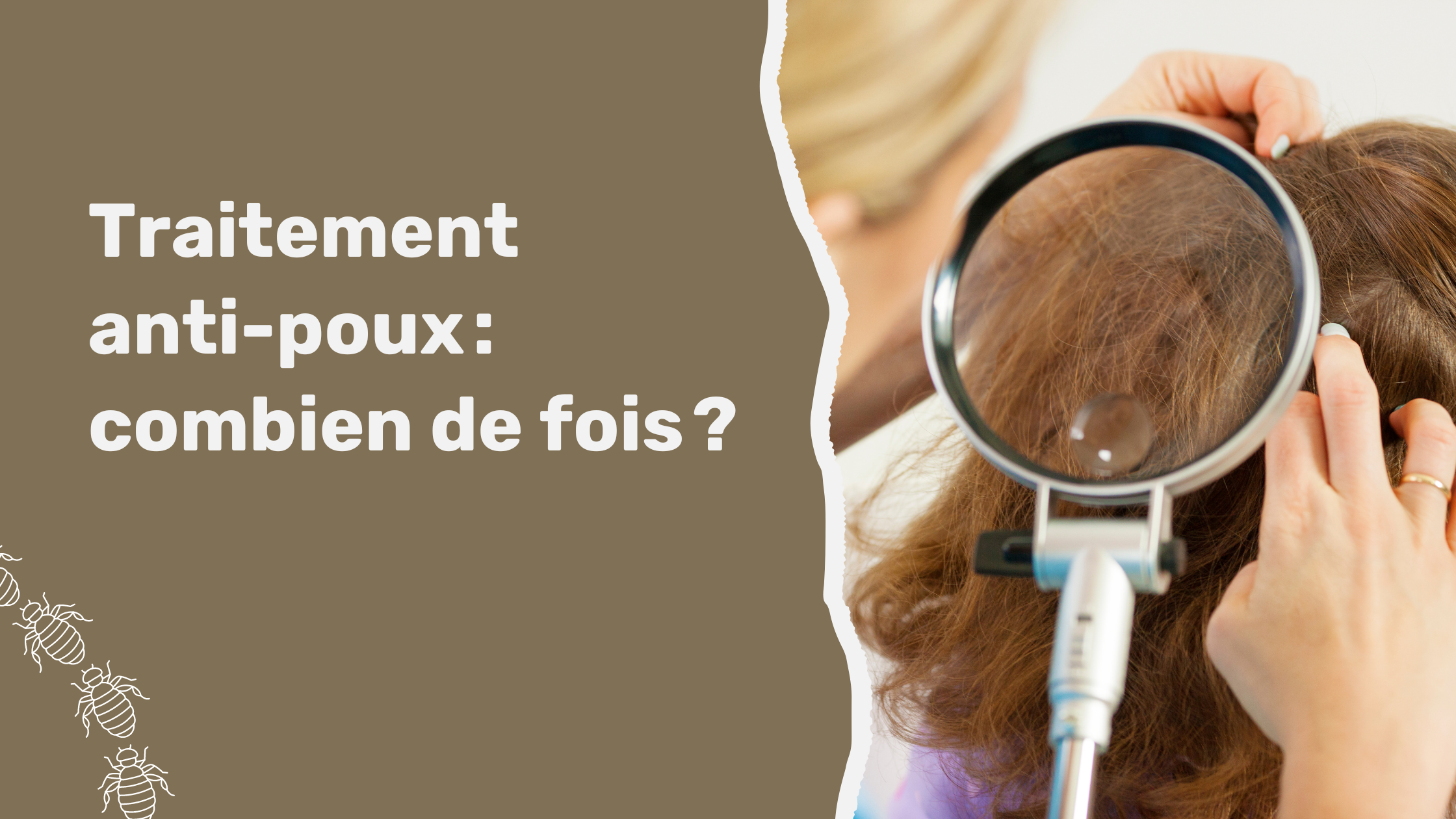 Traitement anti-poux : combien de fois ?