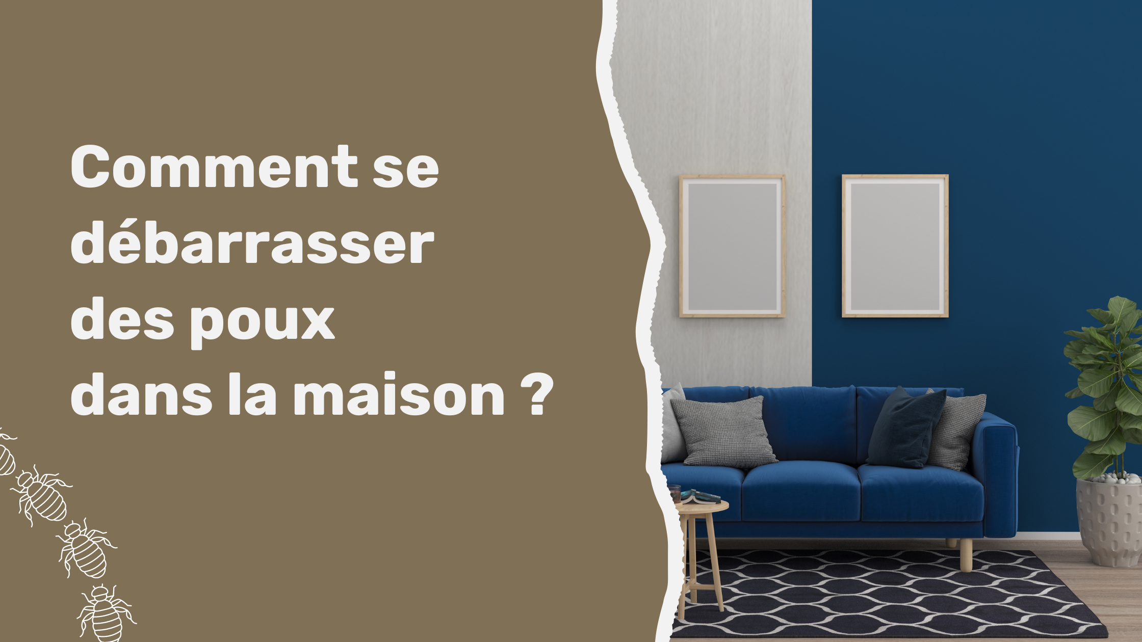 Comment se débarrasser des poux dans la maison ?