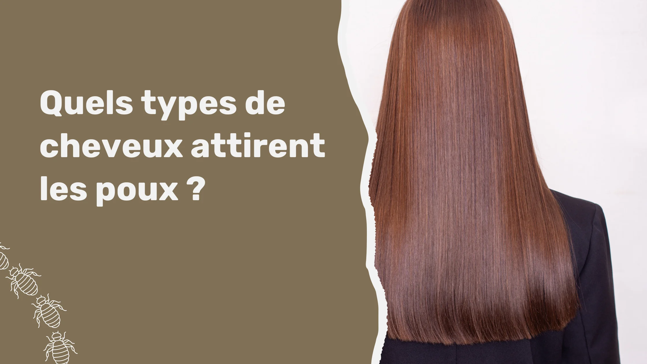 Quels types de cheveux attirent les poux ?