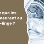 Est-ce que les poux meurent au sèche-linge ?