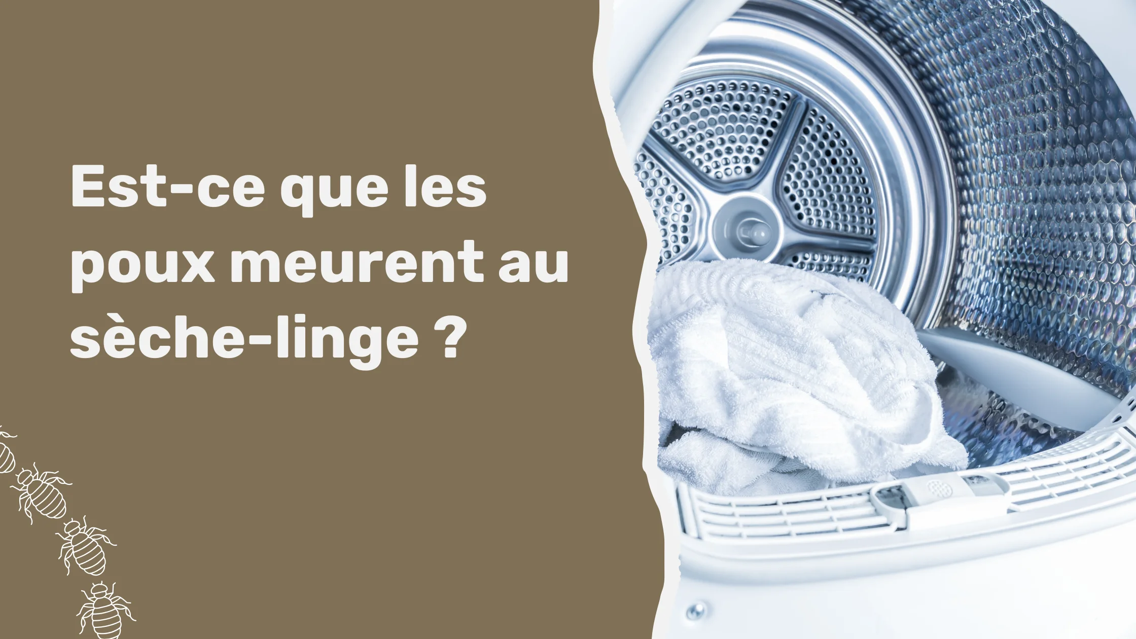 Est-ce que les poux meurent au sèche-linge ?