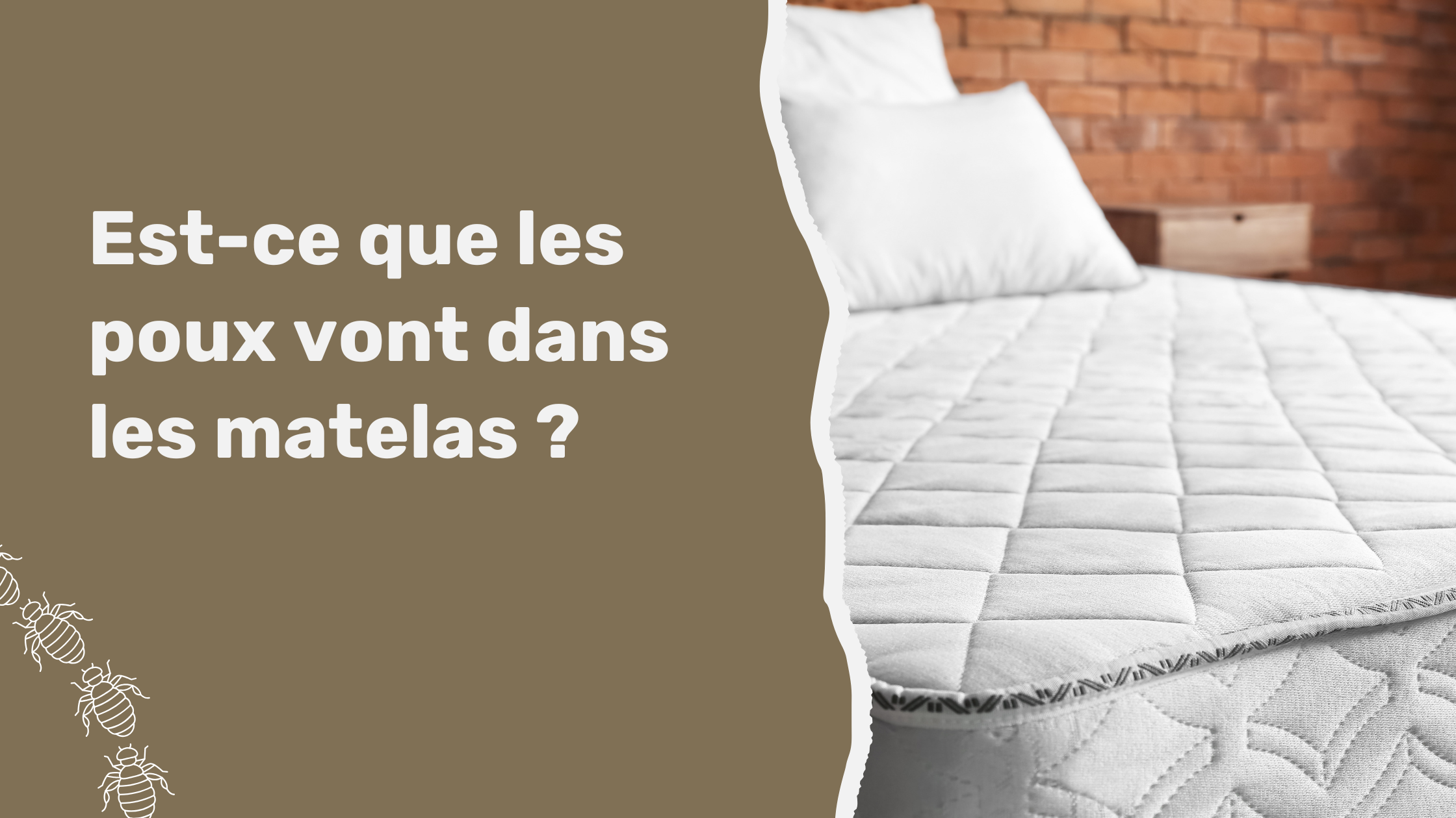 Est-ce que les poux vont dans les matelas ?